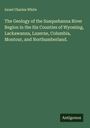 Israel Charles White: The Geology of the Susquehanna River Region in the Six Counties of Wyoming, Lackawanna, Luzerne, Columbia, Montour, and Northumberland., Buch