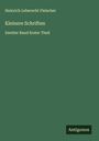 Heinrich Leberecht Fleischer: Kleinere Schriften, Buch
