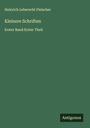 Heinrich Leberecht Fleischer: Kleinere Schriften, Buch