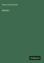 Alfons Goldschmidt: Mexiko, Buch