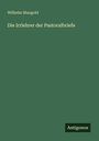 Wilhelm Mangold: Die Irrlehrer der Pastoralbriefe, Buch