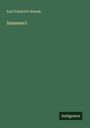 Karl Friedrich Nowak: Sanssouci, Buch