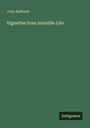 John Badcock: Vignettes from Invisible Life, Buch