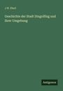 J. W. Eberl: Geschichte der Stadt Dingolfing und ihrer Umgebung, Buch