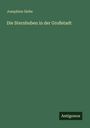 Josephine Siebe: Die Sternbuben in der Großstadt, Buch