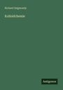 Richard Zsigmondy: Kolloidchemie, Buch