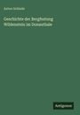 Anton Schlude: Geschichte der Bergfestung Wildenstein im Donauthale, Buch