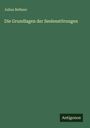 Julius Beßmer: Die Grundlagen der Seelenstörungen, Buch