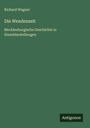 Richard Wagner: Die Wendenzeit, Buch