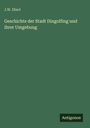 J. W. Eberl: Geschichte der Stadt Dingolfing und ihrer Umgebung, Buch