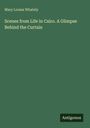 Mary Louisa Whately: Scenes from Life in Cairo. A Glimpse Behind the Curtain, Buch