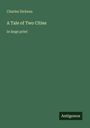 Charles Dickens: A Tale of Two Cities, Buch