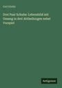 Carl Görlitz: Drei Paar Schuhe: Lebensbild mit Gesang in drei Abtheilungen nebst Vorspiel, Buch
