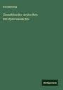 Karl Binding: Grundriss des deutschen Strafprocessrechts, Buch