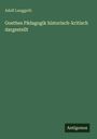 Adolf Langguth: Goethes Pädagogik historisch-kritisch dargestellt, Buch