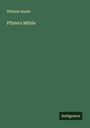 Wilhelm Raabe: Pfisters Mühle, Buch