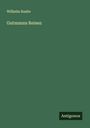 Wilhelm Raabe: Gutmanns Reisen, Buch