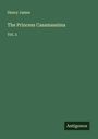 Henry James: The Princess Casamassima, Buch