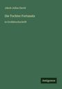 Jakob Julius David: Die Tochter Fortunats, Buch