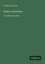 Achim Von Arnim: Hollin's Liebeleben, Buch