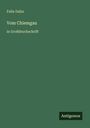 Felix Dahn: Vom Chiemgau, Buch