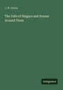 J. W. Ferree: The Falls of Niagara and Scenes Around Them. Antigonos. Schlichte, grüne Buchcover-Gestaltung.