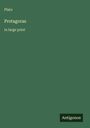 Plato, Protagoras, in large print. Grüner Hintergrund, unten das Logo "Antigonos".