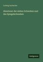 Ludwig Aurbacher: Abenteuer der sieben Schwaben und des Spiegelschwaben, Buch