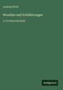 Text: "Ludwig Steub. Novellen und Schilderungen in Großdruckschrift." Grünes Cover mit kleinem Antigonos-Logo unten rechts.