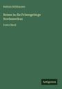 Balduin Möllhausen: Reisen in die Felsengebirge Nordamerikas, Buch