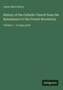 "History of the Catholic Church from the Renaissance to the French Revolution, Volume 1 - in large print", James MacCaffrey. 