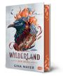Text: Wilderland - Der Berg, Gina Mayer. Illustration: Bunter, majestätischer Vogel vor feurigen Bergen und Mond.