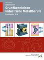 Robert Hönmann: Arbeitsheft Grundkenntnisse Industrielle Metallberufe, Buch