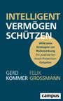 Gerd Kommer: Intelligent Vermögen schützen, Buch