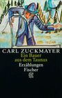 Carl Zuckmayer: Ein Bauer aus dem Taunus, Buch