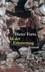 Dieter Forte: In der Erinnerung, Buch