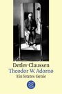 Detlev Claussen: Theodor W. Adorno, Buch