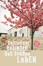 Christiane Rösinger: Das schöne Leben, Buch