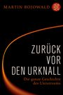 Martin Bojowald: Zurück vor den Urknall, Buch