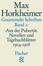 Max Horkheimer: Gesammelte Schriften in 19 Bänden, Buch