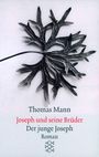 Thomas Mann: Joseph und seine Brüder II. Der junge Joseph, Buch