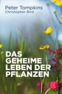 Christopher Bird: Das geheime Leben der Pflanzen, Buch