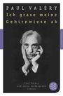 Paul Valéry: Ich grase meine Gehirnwiese ab, Buch