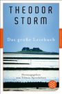 Theodor Storm: Das große Lesebuch, Buch
