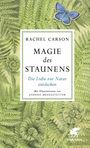 Rachel Carson: Magie des Staunens, Buch