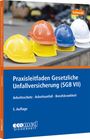 Joachim Schwede: Praxisleitfaden Gesetzliche Unfallversicherung (SGB VII), Buch