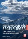 "Meteorologie für Segelflieger. Streckenwetter und seine Vorhersage. Band 2. Henry Blum. Segelflugzeug über Berglandschaft."
