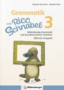 Stefanie Drecktrah: Grammatik mit Rico Schnabel, Klasse 3 - silbierte Ausgabe, Buch