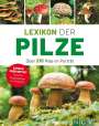 Hans W. Kothe: Lexikon der Pilze - Über 210 Pilze im Porträt, Buch