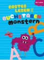 : Erstes Lesen mit den Buchstabenmonstern, Buch